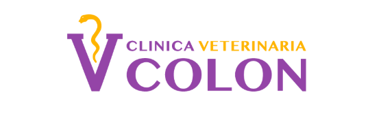Veterinaria Colón